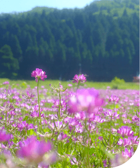 トップ画像