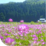 トップ画像